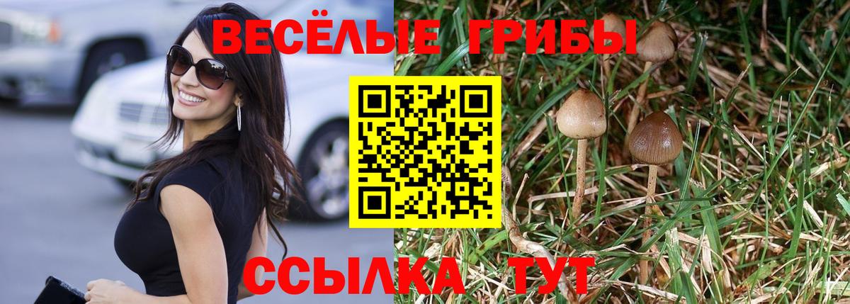 Псилоцибиновые грибы Magic Shrooms  Галлюциногенные грибы GOLDEN TEACHER  Вход с VPN  Мценск 